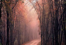 波黑主场不敌罗马尼亚，出线希望减少