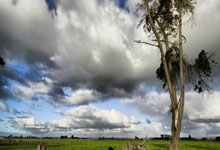 火爆拼搏！国际篮球顶尖球员交锋