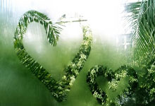 火爆拼搏!国际篮球顶尖球员交锋