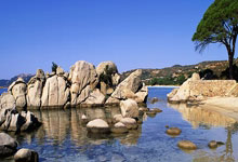 波黑主场不敌罗马尼亚，出线希望减少